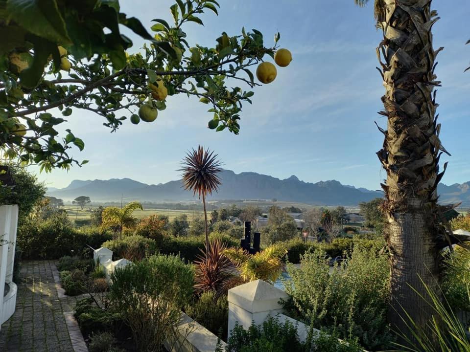 Wild Mushroom Country House Stellenbosch Exterior foto